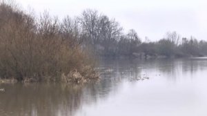 Запрет на лов щуки действует с 1 марта