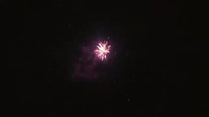 Батарея салютов Букет невесты (Фейерверк 41 залп) арт. С 063