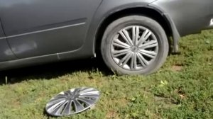 Правильное соотношение цвета колпаков и цвета дисков автомобиля