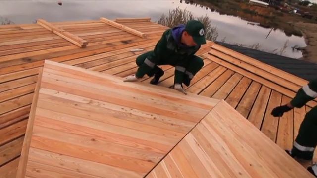 Кедровый рай смотреть онлайн