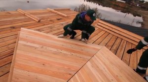 Кедровый рай