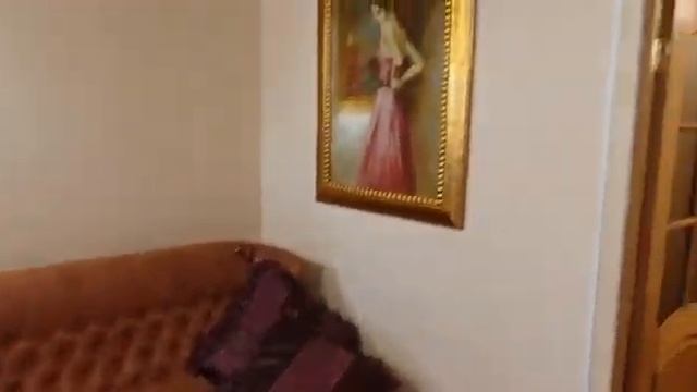 Семидворье частные апартаменты 1 этаж с двориком Коралловый смотреть онлайн