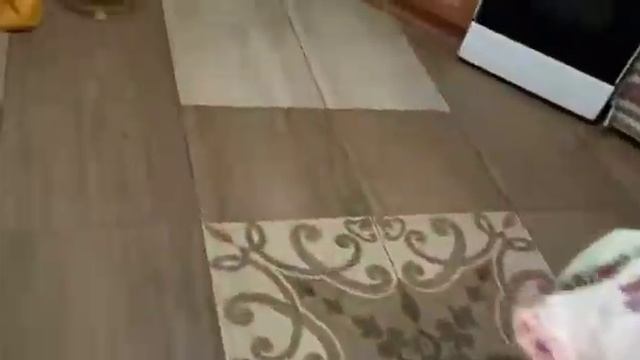 Заколол дюрка возраст 10 месяцев смотреть онлайн