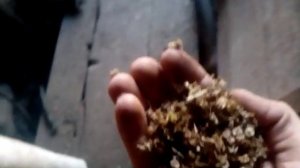 Самодельная машина для очистки семян люцерны и пшеницы.