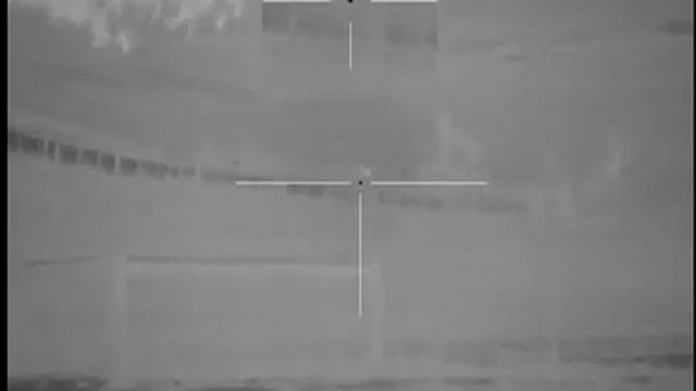 Добыл шакала с 300 метров Тепловизор для охоты Pulsar Apex XD75 смотреть онлайн