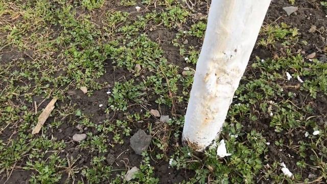 Первая весенняя обработка сада от вредителей и болезней