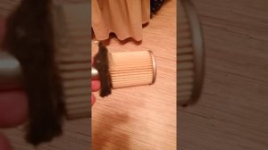 Газ метан . Как часто менять фильтр газа.