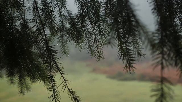 Экзистенциальный аттракцион! Понять, что такое экзистенциализм раз и навсегда.