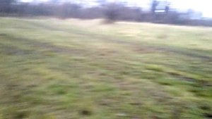 20171118 Разговор на тему -сколько корове надо сена!