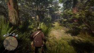 Герцогини и другие звери Коллекции RDR 2