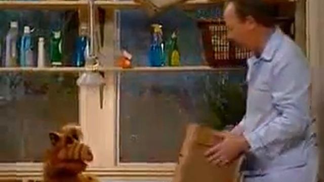 Альф спит стоя смотреть онлайн