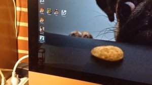 Shrek 2 Windows 10 run error/ Ошибка запуска Шрек 2 на 10 винде.