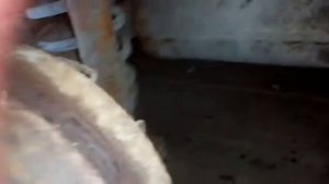 Как снять глушитель на Рено Симбол