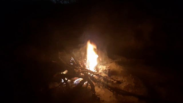 Ночной костёр в лесу #asmr #relax night #bonfire смотреть онлайн