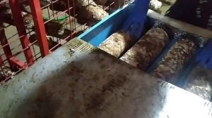 Гидрация блоков шиитаке/ ч.2