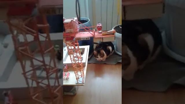 Покрасил, склеил, собрал! ФИНАЛ сборка башенного крана ТДК 10.180 GIRAFFE. смотреть онлайн