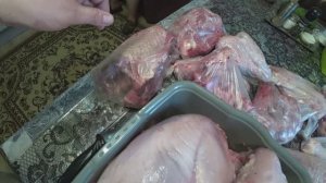 Выращивание индюков. Итоги сезона