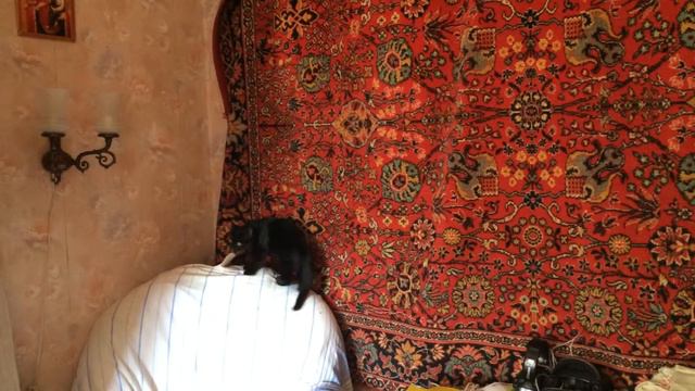 Москва. Васисуалий ищет дом. 4 мес