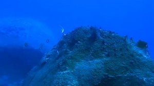 ДАЙВИНГ, ЯХТИНГ И ПЛЯЖИ. НХА ТРАНГ. ВЬЕТНАМ.