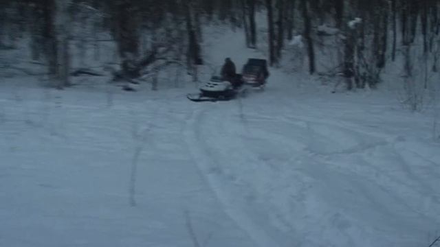 Сезон охоты на кабанов продлили на месяц смотреть онлайн