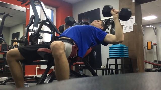 13 неделя, д.1 (жим гантелей) смотреть онлайн