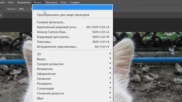 ?Photoshop урок. Как сделать рыбий глаз. Fish-eye. cc 2015 смотреть онлайн