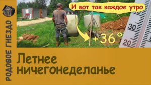#005 | Летнее ничегонеделанье (2021)