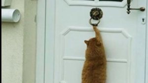 Длинный ноготь на мизинце у мужчин Для чего отращивают ?