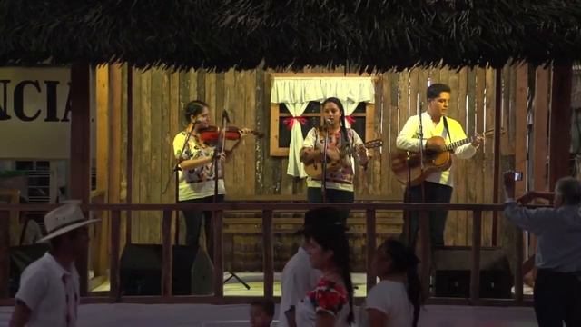 Para alegar la tarde Sones Huastecos смотреть онлайн