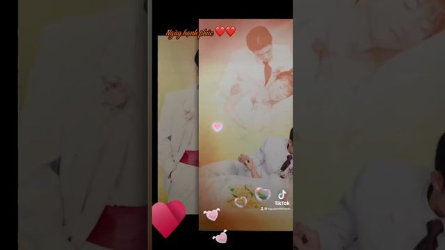 Happy wedding Thiên Thanh-Thái Tâm (18/12/2005❤️18/12/2022) смотреть онлайн