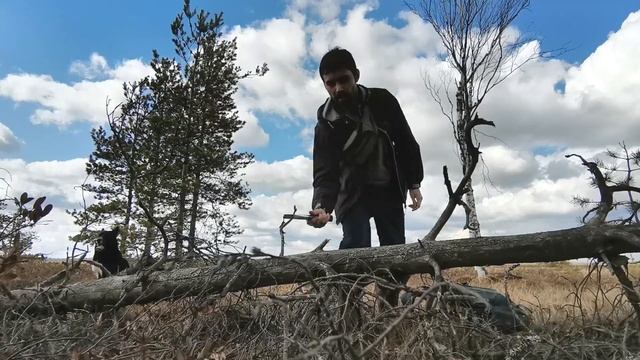 Сказочное болото озера Волоярви