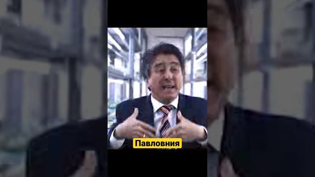 Профессор Алишер Тураев