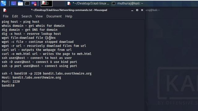 Kali Linux Networking Commands(ping,whois,dig,wget,curl,ssh)