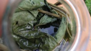 Приготовление настойки лопуха