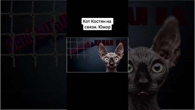 8 октября 2023 г. смотреть онлайн