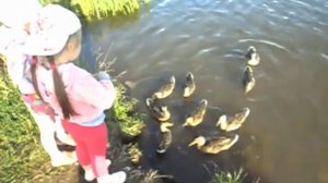 ♥ КОРМИМ УТОК С СЕСТРЁНКОЙ КАТЕЙ ♥