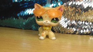 LPS: Как я снимаю сериалы (Советы начинающим блогерам)