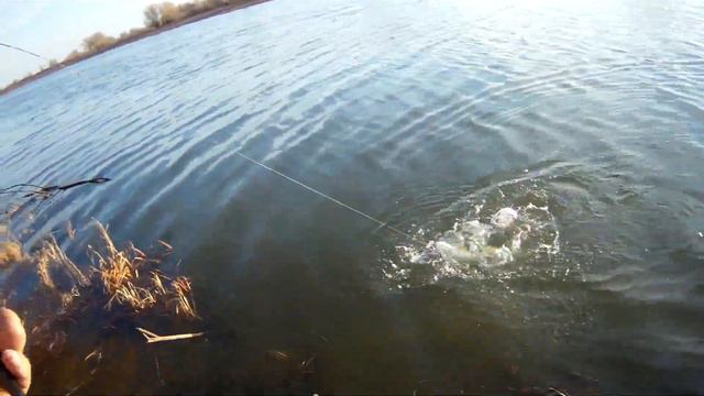 На рыбалке матом не ругаемся! смотреть онлайн