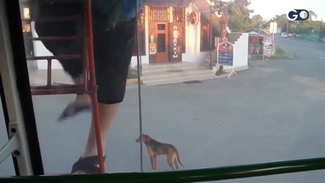 Она не женщина, она – водитель. Фильм Анжелики Бения, Абхазия, август 2017 смотреть онлайн