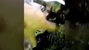 Раздатка соболь 4х4  не бережная эксплуатация.
