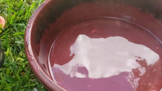 Tie Dye Patterns: Shibori Dyeing Technique On A Big Fabric Step By Ste VAT Dyeing Process #tiedye