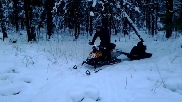 Снегоход Динго с мотором 150куб 5 смотреть онлайн