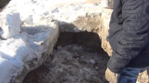 как размотать рулон сена, мерзлый жом, как меняется корова перед отелом