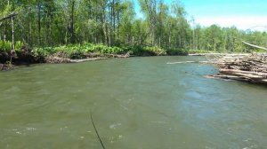/СИМА 2022/ КРАЙНИЙ ДЕНЬ/Сахалинская рыбалка & Sakhalin fishing