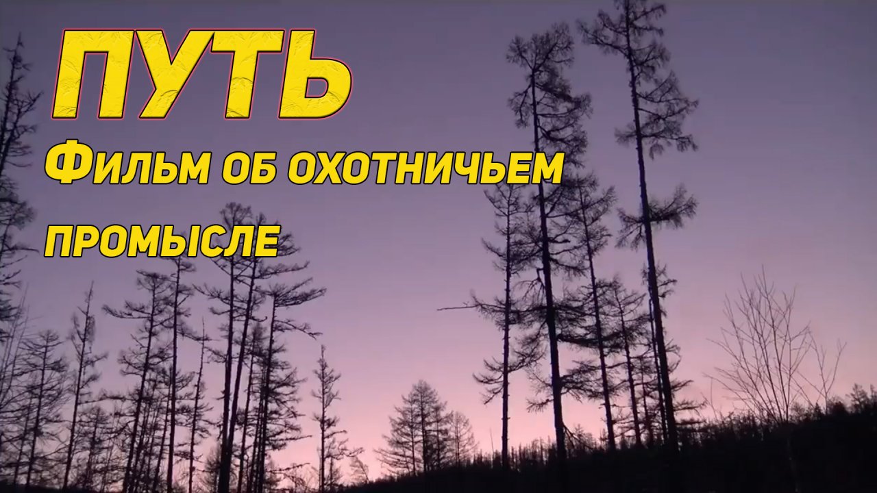 Моя тайга. Тайга моя заветная.