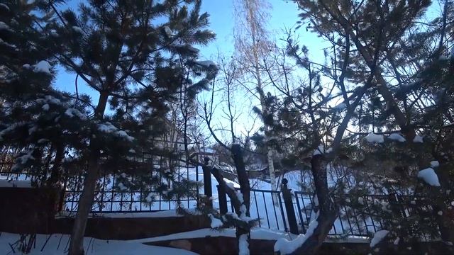 Отдыхаем у друзей на даче . смотреть онлайн