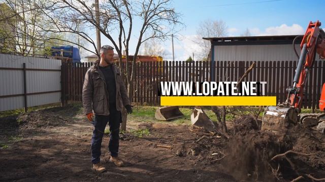 Секреты эффективного корчевания пней: что нужно знать каждому дачнику
