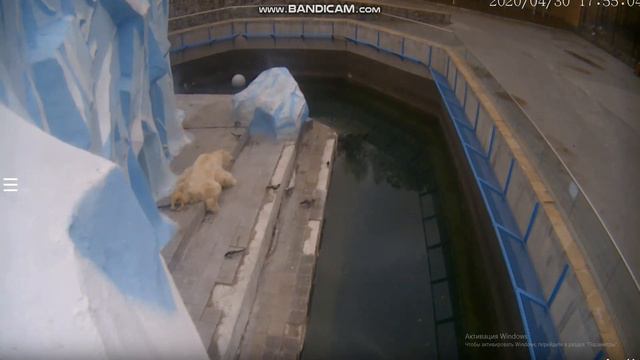 А если мы сядем на Кая он нас заметит? 30.04.2020 смотреть онлайн