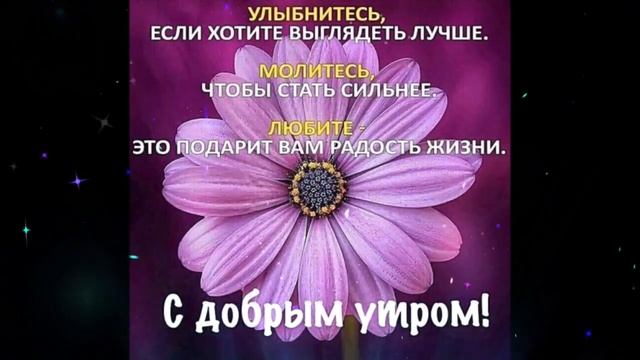 Доброе  утро   Лариса  Гордьера   Родной  Человек