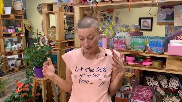 Суккуленты бывают разные | Адромискус - необыкновенный суккулент | Знакомство смотреть онлайн